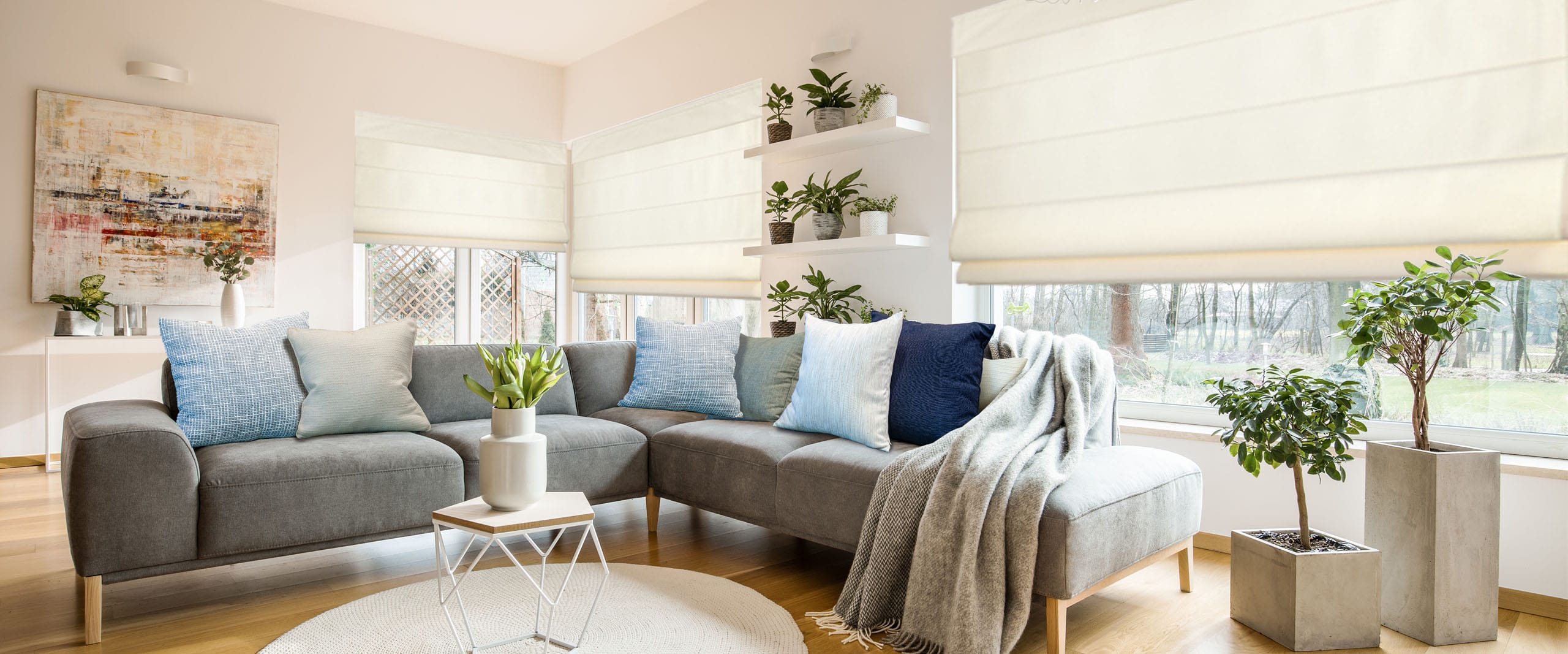 Norman roman shade in a living room with a sofa and throw pillows